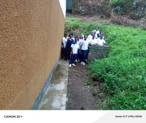 project_muramba_seed